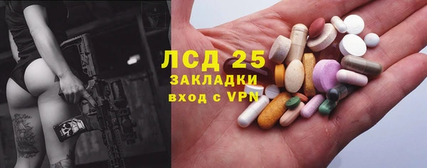твердый Арсеньев