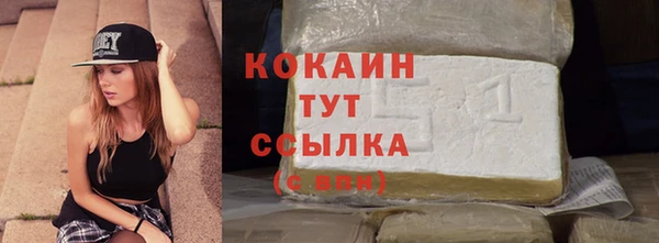 твердый Арсеньев