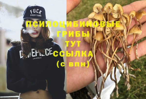 синтетический гашиш Армянск