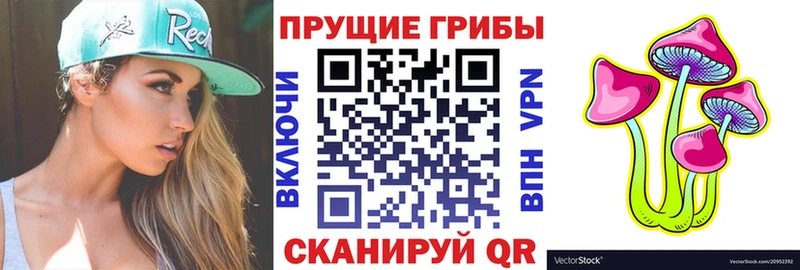 продажа наркотиков  Тюкалинск  Псилоцибиновые грибы Psilocybine cubensis 